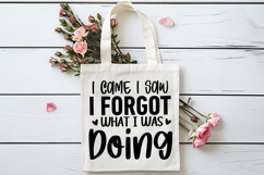 I Came I Saw I Forgot What I Was Doing SVG, Retirement SVG Product Image 4