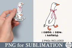 I Came I Saw I Honked Funny Goose PNG Product Image 1