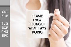 I Came I Saw I Forgot What I was Doing, Hand Lettered SVG Product Image 3