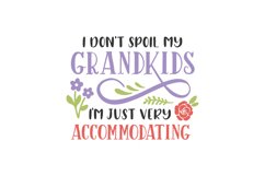 I Don't Spoil My Grandkids, I'm Just Very Accommodating Product Image 1