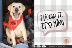 I Licked It Dog Bandana SVG Pet Quote Design Cricut For DIY