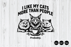 I Like My Cats Probably SVG, Sarcastic Cat SVG, Funny Cat Product Image 1