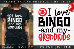 I Love Bingo And My Grandkids SVG Cut File | Funny Bingo SVG Product Image 1