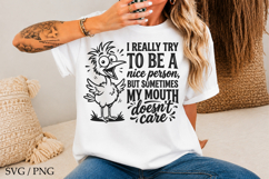 I Try To Be A Nice Person SVG,Funny Birds Quotes Product Image 2