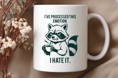 I’ve Processed This Emotion I Hate It SVG, Funny Raccoon PNG Product Image 3