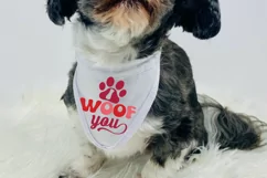 I Woof You SVG, Valentine's Day SVG Design Product Image 2