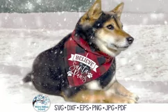 I Believe In Santa Paws SVG | Funny Christmas Dog Shirt SVG Product Image 2