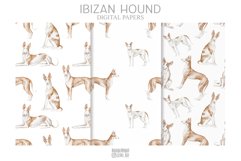 Ibizan Hound dog seamless patterns Product Image 1