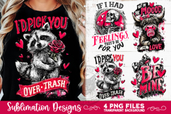 Sarcastic Valentine PNG Funny Sublimation 4 Designs Product Image 6