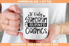 Funny SVG, Funny Quotes SVG, Sarcastic quotes SVG Cut file Product Image 2