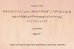 Ignited Script Product Image 10