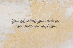 Ignited Script Product Image 7