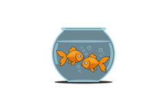 Two playful goldfish swimming in a round bowl flat vector ar Product Image 1