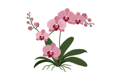 Pink orchid flowers in a detailed flat design vector illustr Product Image 1