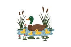 Duck family swimming in pond with green plants in flat vecto Product Image 1