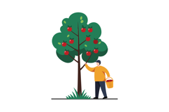 Person picking apples from a tree in flat vector art Product Image 1