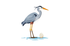 Heron standing gracefully beside its egg in flat, colorful d Product Image 1