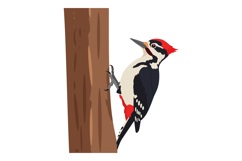 Woodpecker perched on tree trunk in flat and colorful design Product Image 1