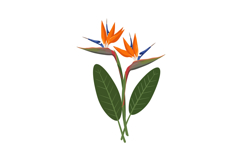 Vibrant tropical flowers with bold colors in flat design sty Product Image 1