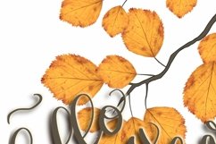 Sublimation Png | Fall Leaves | Autumn Design Product Image 2