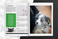 Veterinary Clinic Brochure Product Image 3