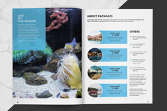 Travel Agency Brochure Template Product Image 4