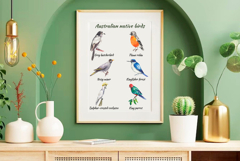 Australian native birds watercolor Product Image 10