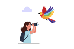 Person observing colorful bird through binoculars in flat ve Product Image 1