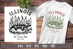 Illinois svg Vintage United states design