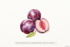 Watercolour Plum PNG Clipart Product Image 1