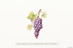 Watercolour Grape Cluster PNG Clipart Product Image 1