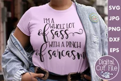 I'm A Whole Lot Of Sass With A Pinch Of Sarcasm | Funny Svg Product Image 1