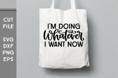 I'm Doing Whatever I Want Now, Hand Lettered Sarcastic SVG Product Image 3