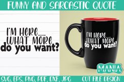 I'm Here What More Do You Want Svg Cut File, Funny Quote Svg Product Image 1