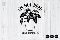 I'm Not Dead Just Dramatic SVG, Funny Humor SVG Product Image 1