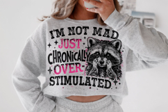 Overstimulated PNG, Funny Sarcastic Quote PNG, Raccoon PNG Product Image 2