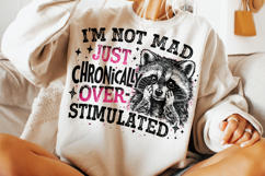 Overstimulated PNG, Funny Sarcastic Quote PNG, Raccoon PNG Product Image 3
