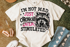 Overstimulated PNG, Funny Sarcastic Quote PNG, Raccoon PNG Product Image 4
