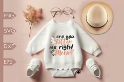 Baby Quotes SVG PNG | Funny Toddler Sayings Product Image 1