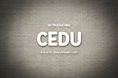 Cedu - Modern Minimalist Sans Serif Typeface Product Image 1
