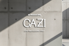 Cazi - Sophisticated Modern Sans Serif Product Image 1