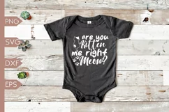 Baby Quotes SVG PNG | Funny Toddler Sayings Product Image 3