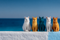 Cats by The Sea Background Wallpaper 5 Product Image 1