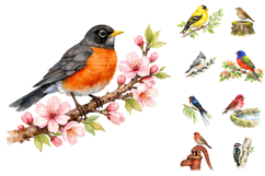 Watercolor Garden Birds Clipart Set Product Image 2