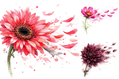 Watercolor Flower Clipart Bundle Product Image 1