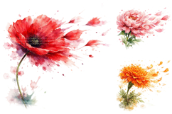 Watercolor Flower Clipart Bundle Product Image 2