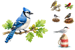 Watercolor Garden Birds Clipart Set Product Image 3