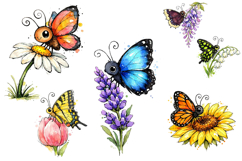 Whimsical Butterfly Floral Clipart PNGs Product Image 2