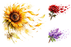 Watercolor Flower Clipart Bundle Product Image 3