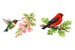Watercolor Garden Birds Clipart Set Product Image 4